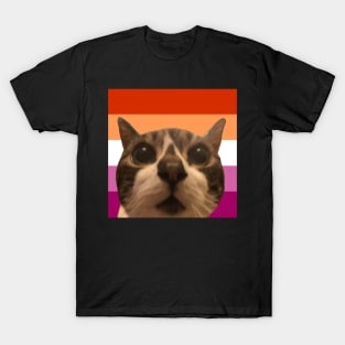 acrh says lesbian rights T-Shirt